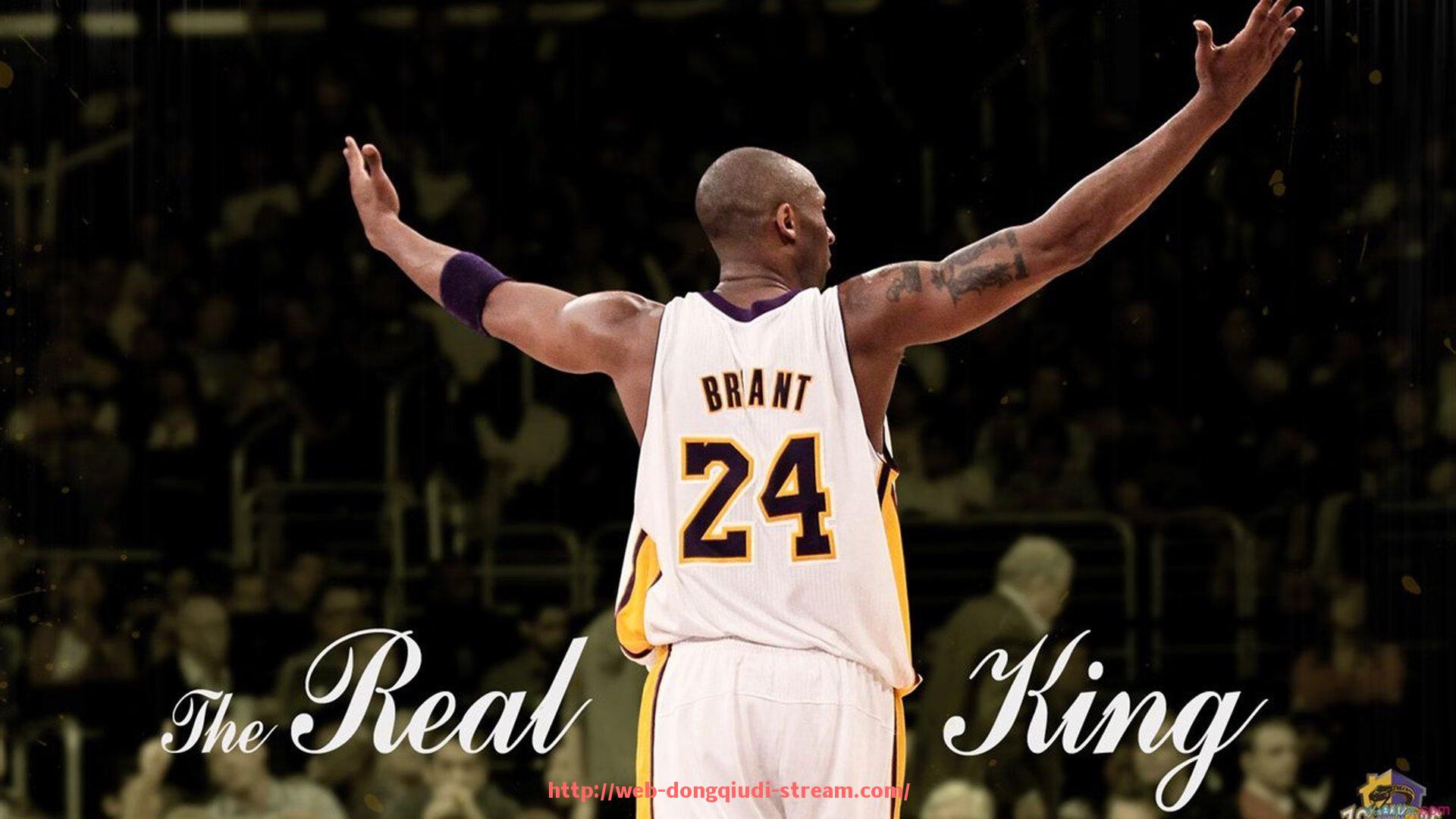 懂球帝直播-国外健身器材大牌品牌排行榜及市场占有率分析