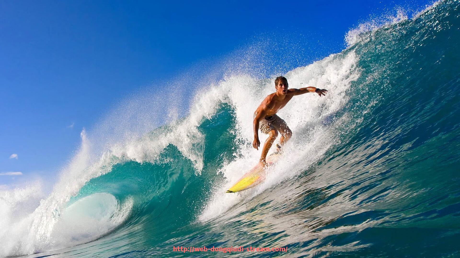 懂球帝直播-国外健身器材大牌品牌排行榜及市场占有率分析